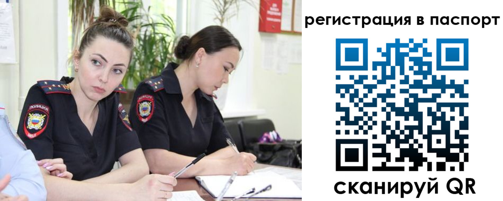 где прописаться в Полярных Зорях